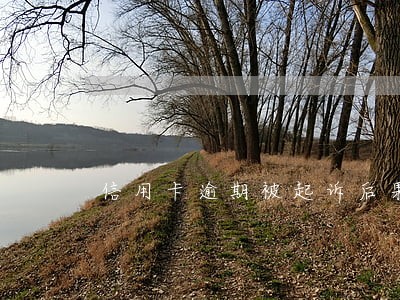信用卡逾期被起诉后果怎么样 信用卡逾期被起诉后果怎么样
