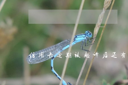 信用卡逾期被起诉后还有协商吗