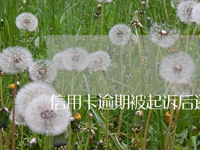 信用卡逾期被起诉后还款方法 信用卡逾期被起诉后还款方法