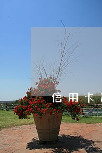 信用卡逾期被起诉已经 信用卡逾期被起诉已经
