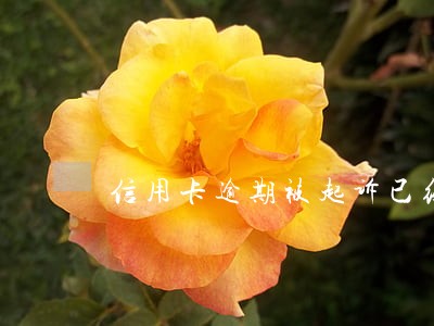 信用卡逾期被起诉已经收到传票怎么处理 信用卡逾期被起诉已经收到传票怎么处理