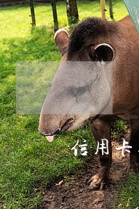 信用卡逾期被起诉庭前和解 信用卡逾期被起诉庭前和解