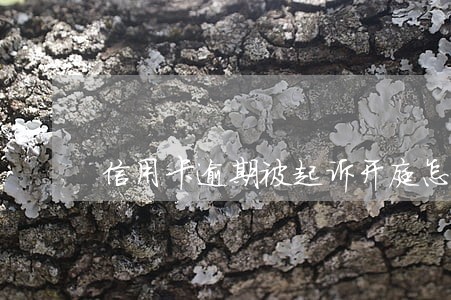 信用卡逾期被起诉开庭怎么协商 信用卡逾期被起诉开庭怎么协商