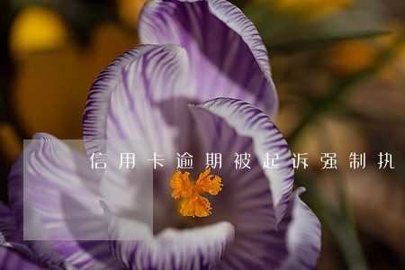 信用卡逾期被起诉强制执行 信用卡逾期被起诉强制执行