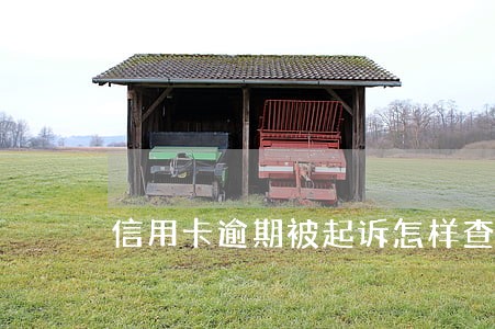 信用卡逾期被起诉怎样查询 信用卡逾期被起诉怎样查询