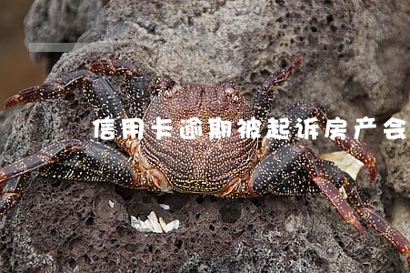 信用卡逾期被起诉房产会冻结吗 信用卡逾期被起诉房产会冻结吗