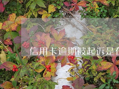 信用卡逾期被起诉是在哪里法院 信用卡逾期被起诉是在哪里法院