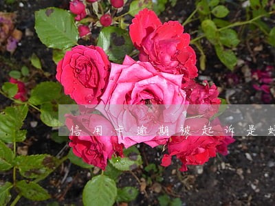 信用卡逾期被起诉是好事吗 信用卡逾期被起诉是好事吗