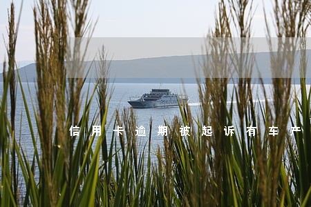 信用卡逾期被起诉有车产 信用卡逾期被起诉有车产