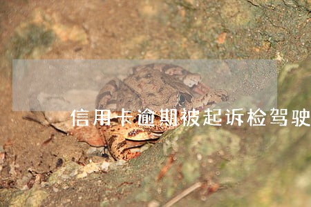 信用卡逾期被起诉检驾驶本 信用卡逾期被起诉检驾驶本