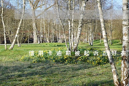 信用卡逾期被起诉正好在坐牢 信用卡逾期被起诉正好在坐牢