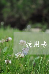 信用卡逾期被起诉没有出庭 信用卡逾期被起诉没有出庭