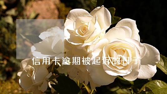 信用卡逾期被起诉的日子 信用卡逾期被起诉的日子