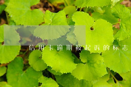 信用卡逾期被起诉的标志