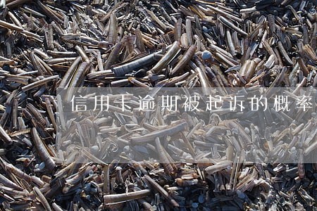 信用卡逾期被起诉的概率大吗 信用卡逾期被起诉的概率大吗