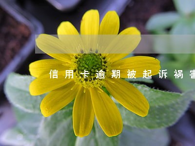 信用卡逾期被起诉祸害家人 信用卡逾期被起诉祸害家人
