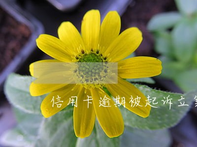信用卡逾期被起诉立案后会坐牢 信用卡逾期被起诉立案后会坐牢