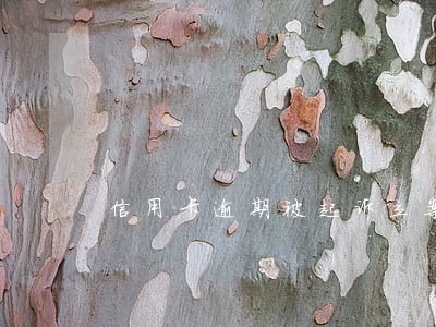 信用卡逾期被起诉立案大概多久
