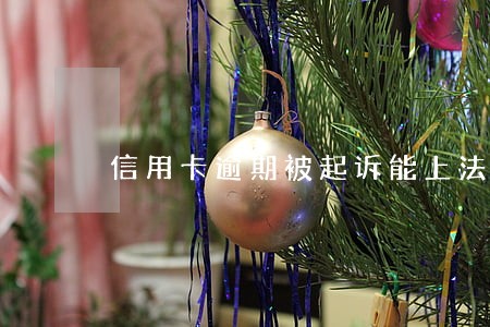 信用卡逾期被起诉能上法院吗 信用卡逾期被起诉能上法院吗