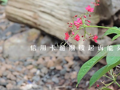 信用卡逾期被起诉能买机票吗 信用卡逾期被起诉能买机票吗