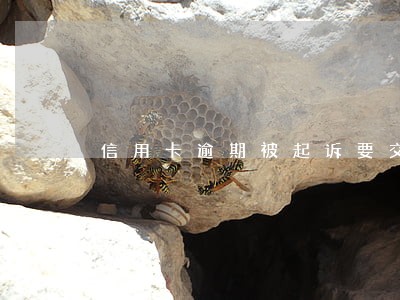 信用卡逾期被起诉要交多少钱 信用卡逾期被起诉要交多少钱