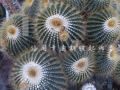 信用卡逾期被起诉要坐多久牢 信用卡逾期被起诉要坐多久牢