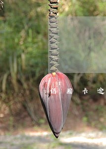 信用卡逾期被起诉要怎么处理 信用卡逾期被起诉要怎么处理