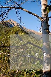 信用卡逾期被起诉要找律师吗 信用卡逾期被起诉要找律师吗