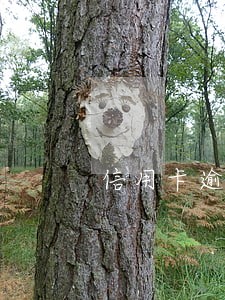 信用卡逾期被起诉要还多少钱 信用卡逾期被起诉要还多少钱