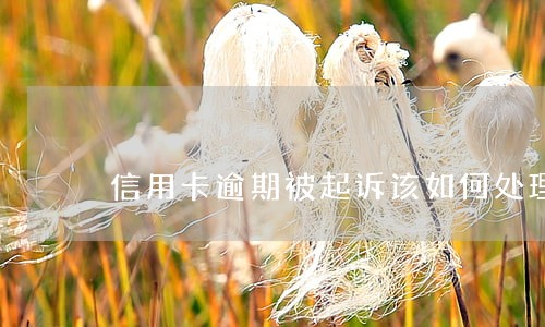 信用卡逾期被起诉该如何处理