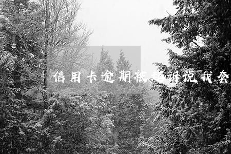信用卡逾期被起诉说我套现