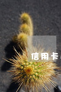 信用卡逾期被起诉调查多久 信用卡逾期被起诉调查多久