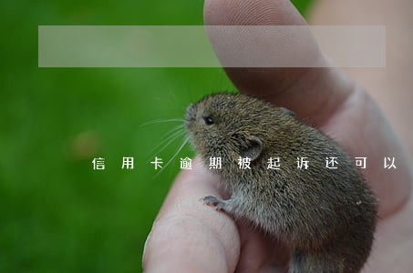 信用卡逾期被起诉还可以上诉吗 信用卡逾期被起诉还可以上诉吗