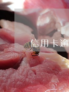 信用卡逾期被起诉还款会怎样 信用卡逾期被起诉还款会怎样