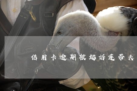 信用卡逾期被起诉连带夫妻吗 信用卡逾期被起诉连带夫妻吗