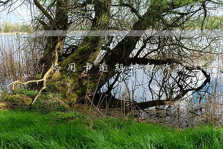 信用卡逾期被起诉银行会怎么通知