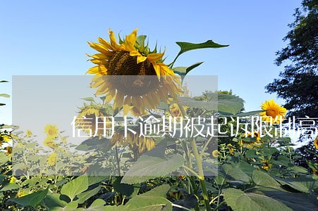 信用卡逾期被起诉限制高消费 信用卡逾期被起诉限制高消费