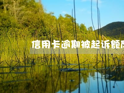 信用卡逾期被起诉额度 信用卡逾期被起诉额度
