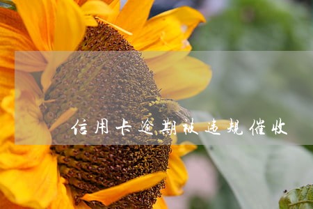 信用卡逾期被违规催收 信用卡逾期被违规催收