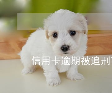 信用卡逾期被追刑事的多吗