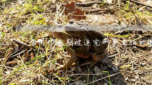 信用卡逾期被追究刑事责任的概率