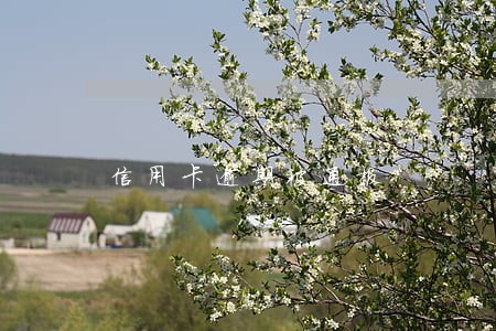 信用卡逾期被通报 信用卡逾期被通报