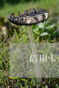 信用卡逾期被通知报案 信用卡逾期被通知报案