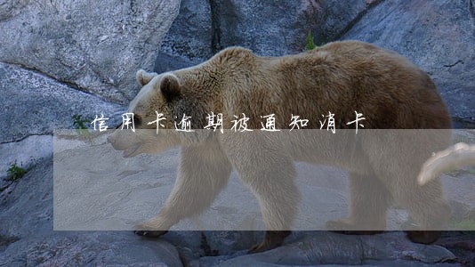 信用卡逾期被通知消卡 信用卡逾期被通知消卡