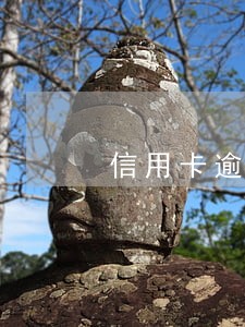 信用卡逾期被逼死是真的吗