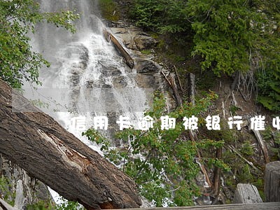 信用卡逾期被银行催收怎么办 信用卡逾期被银行催收怎么办