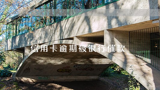 信用卡逾期被银行催款