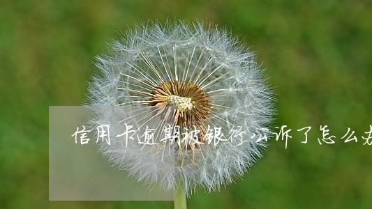 信用卡逾期被银行公诉了怎么办 信用卡逾期被银行公诉了怎么办