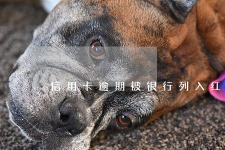 信用卡逾期被银行列入红头 信用卡逾期被银行列入红头