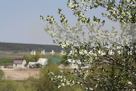 信用卡逾期被银行强制性注销 信用卡逾期被银行强制性注销